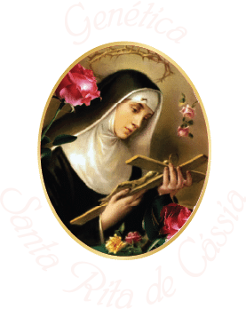 Genética Santa Rita de Cássia